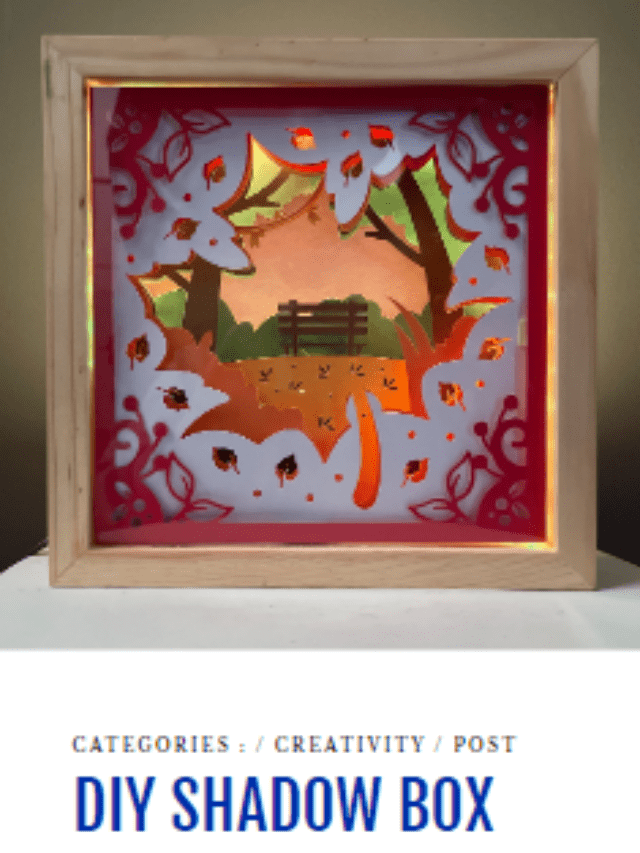 DIY Shadow Box Ideas, Everyone Can Make Money! Drizy Studio