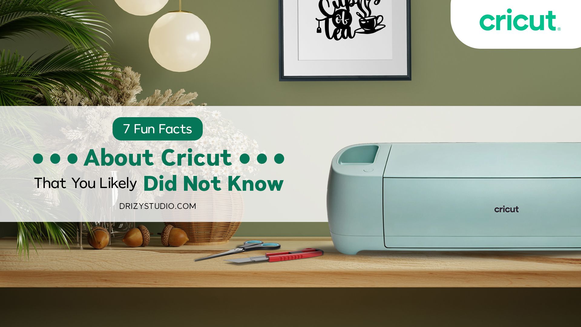 Cover 7 Fun Facts About Cricut That You Likely Did Not Know