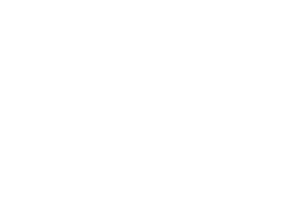 Design Icon