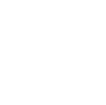 Speed Icon